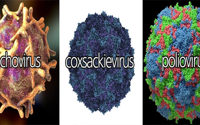 bai-viet/cach-phong-chong-lay-lan-benh-tay-chan-mieng-o-tre-45650.html