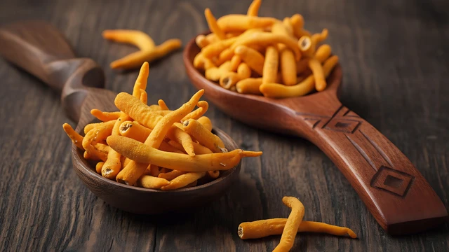 bai-viet/cach-su-dung-dong-trung-ha-thao-tot-cho-suc-khoe.html