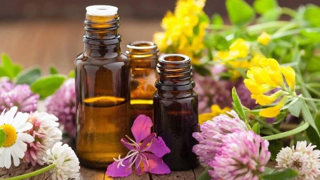 bai-viet/cach-su-dung-tinh-dau-hieu-qua-khong-phai-ai-cung-biet.html