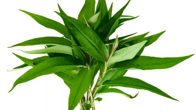 bai-viet/cach-tri-lang-ben-nau-nhanh-chong-va-hieu-qua-53067.html