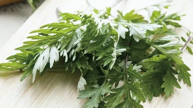 bai-viet/uong-nuoc-ngai-cuu-dieu-hoa-kinh-nguyet-nhu-the-nao.html