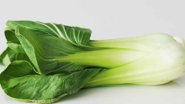 bai-viet/cai-chip-va-nhung-loi-ich-bat-ngo-co-the-ban-chua-biet.html