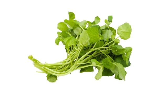 bai-viet/cai-xoong-gia-tri-dinh-duong-va-cong-dung-tuyet-voi-cho-suc-khoe.html