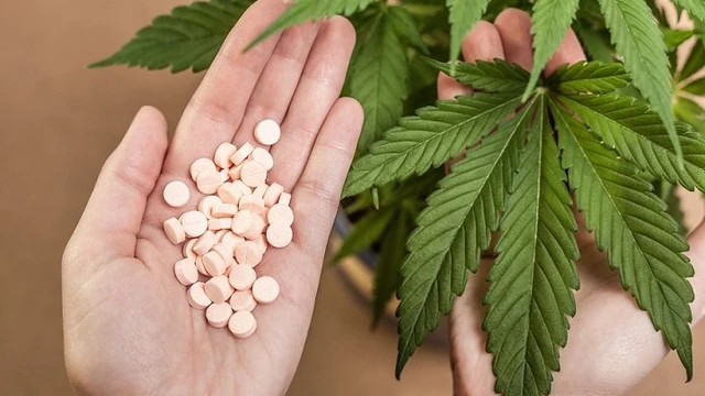 bai-viet/can-sa-va-cac-hoat-chat-tac-dung-trong-y-te-55061.html