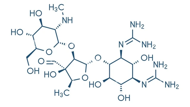 bai-viet/can-than-voi-doc-tinh-cua-streptomycin-khi-dieu-tri-benh-va-cach-phong-ngua.html
