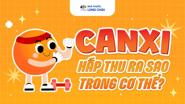 bai-viet/infographic-canxi-hap-thu-ra-sao-trong-co-the.html