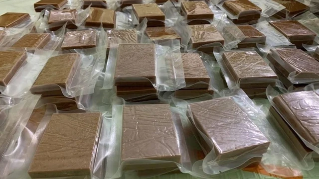 bai-viet/cao-ngua-co-tac-dung-gi-loi-ich-cach-dung-va-nhung-luu-y-can-biet.html