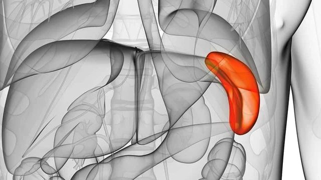 bai-viet/cat-la-lach-co-sinh-con-duoc-khong-cac-truong-hop-phai-cat-bo-la-lach.html