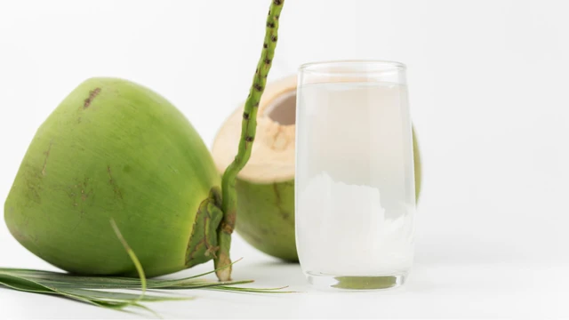 bai-viet/cat-mi-uong-nuoc-dua-duoc-khong-cach-cham-soc-sau-cat-mi.html