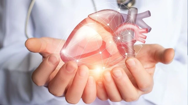 bai-viet/cau-tao-chuc-nang-va-hoat-dong-cua-co-tim.html