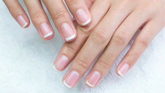 bai-viet/cau-tao-cua-mong-tay-va-moi-lien-he-cua-mong-tay-voi-suc-khoe.html