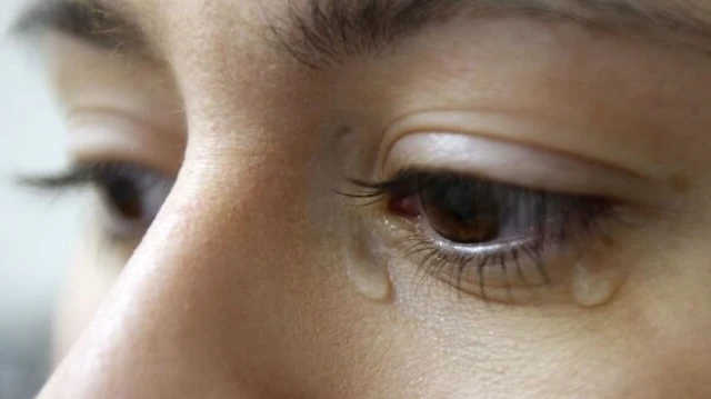 bai-viet/cau-tao-tuyen-le-va-nhung-benh-thuong-gap.html