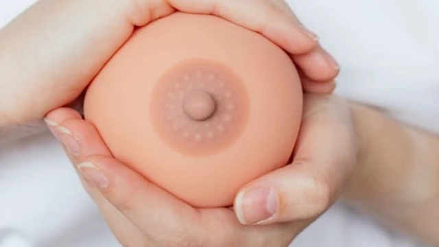 bai-viet/cau-truc-vu-phu-nu-the-nao-nhung-dieu-can-biet-ve-qua-trinh-thay-doi-vu.html