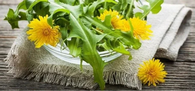 bai-viet/cay-bo-cong-anh-co-tac-dung-gi-luu-y-khi-dung-bo-cong-anh-58759.html