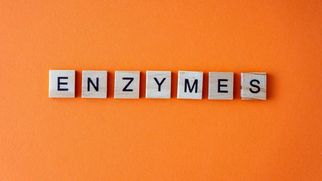 bai-viet/cay-enzyme-giam-mo-co-tot-khong-nhung-luu-y-quan-trong-can-biet.html