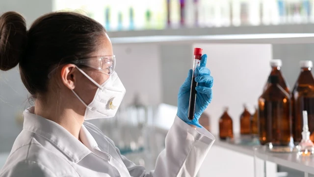 bai-viet/cay-mau-bao-lau-co-ket-qua-thoi-gian-cho-va-nhung-dieu-can-biet.html