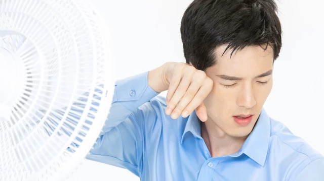 bai-viet/goi-y-cay-thuoc-nam-chua-benh-ra-mo-hoi-nhieu.html