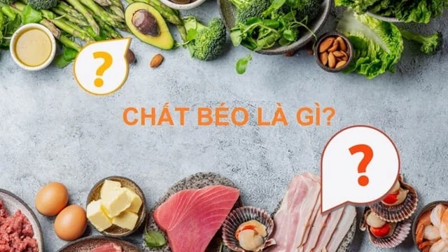 bai-viet/chat-beo-la-gi-chat-beo-trong-co-the-co-may-loai-64726.html