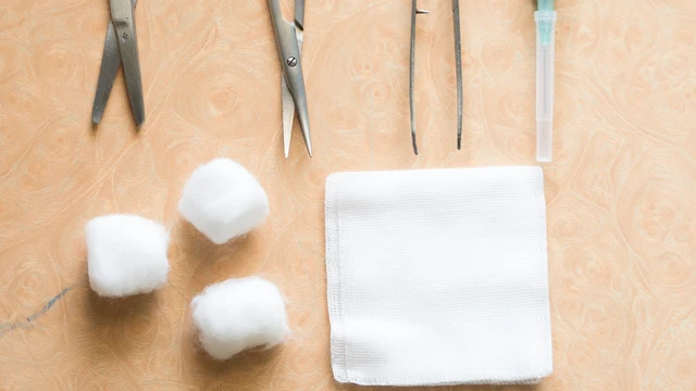 bai-viet/chi-khau-tang-sinh-mon-bao-lau-thi-tieu.html