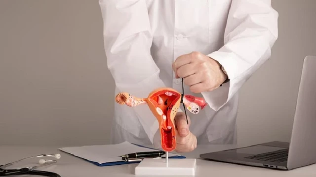 bai-viet/chi-phi-triet-san-nu-hien-nay-la-bao-nhieu-cac-phuong-phap-triet-san-nu.html