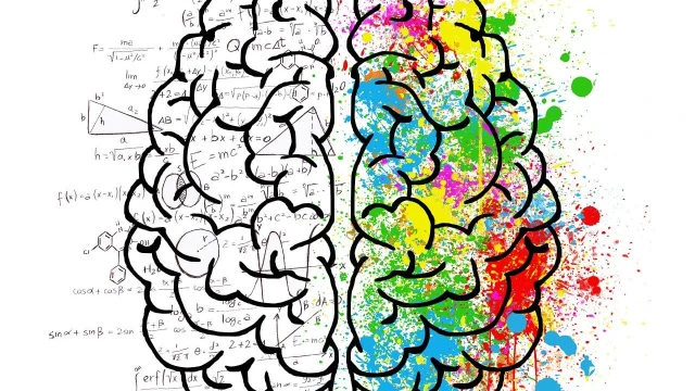 bai-viet/chi-so-cq-la-gi-dac-diem-cua-nguoi-co-chi-so-cq-cao.html