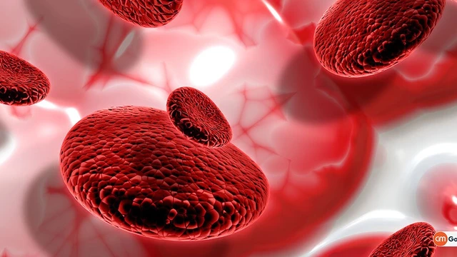 bai-viet/chi-so-xet-nghiem-tan-mau-bam-sinh-la-gi.html