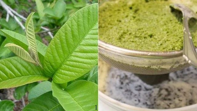 bai-viet/chia-se-cach-tri-cham-theo-dan-gian-tai-nha-hieu-qua-nhat-61784.html