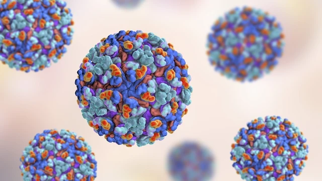 benh/chikungunya.html