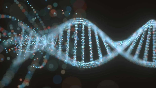 bai-viet/chimera-la-gi-chimera-co-the-dieu-tri-duoc-khong.html