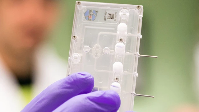 bai-viet/chip-than-moi-mang-lai-buoc-dot-pha-cho-phat-trien-thuoc-va-y-hoc-ca-nhan-hoa.html