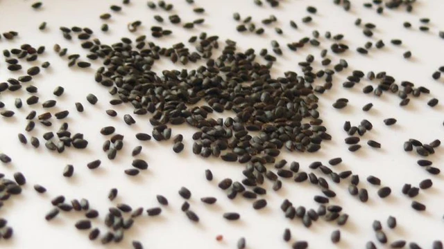 bai-viet/cho-con-bu-uong-hat-e-duoc-khong-cach-bo-sung-hat-e-tot-cho-me.html