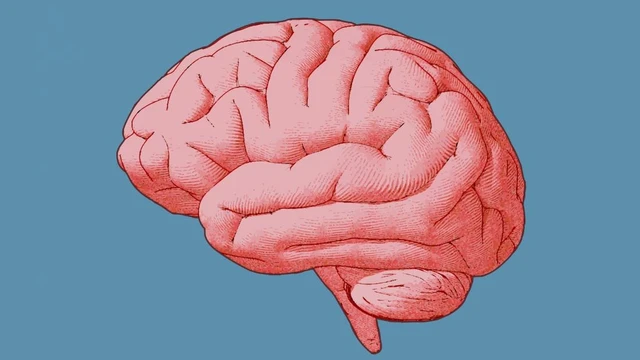 bai-viet/chuc-nang-cua-ban-cau-nao-phai-la-gi.html