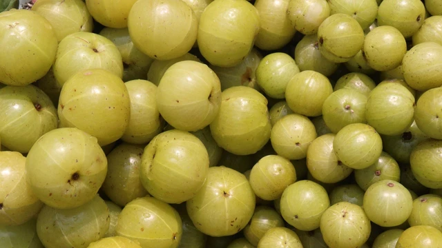 bai-viet/chum-ruot-co-tac-dung-gi-ai-nen-va-khong-nen-dung-chum-ruot.html