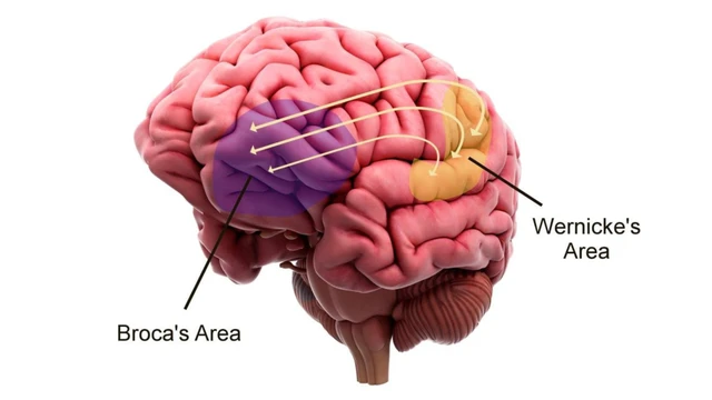 benh/chung-mat-ngon-ngu.html