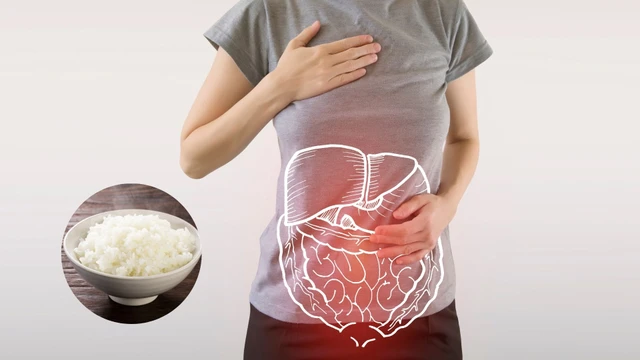 bai-viet/com-mat-bao-lau-de-tieu-hoa-qua-trinh-tieu-hoa-thuc-an-dien-ra-nhu-the-nao.html