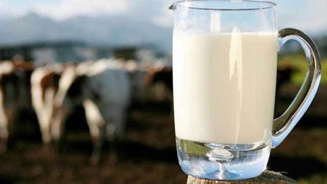 bai-viet/loi-tich-cua-sua-bo-tuoi-doi-voi-suc-khoe-69395.html