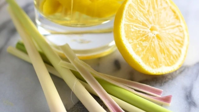 bai-viet/cong-dung-tuyet-voi-cua-tinh-dau-sa-chanh-co-the-ban-chua-biet-51745.html