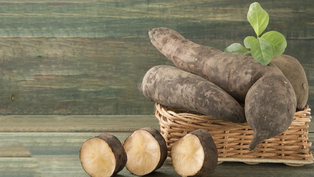 bai-viet/cu-sam-dat-va-loi-ich-tang-cuong-suc-khoe-it-ai-biet-47782.html