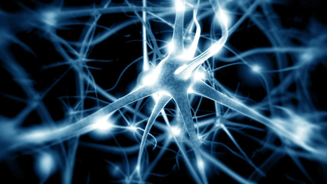 bai-viet/cung-tim-hieu-ve-te-bao-goc-than-kinh-va-ung-dung-cua-no.html