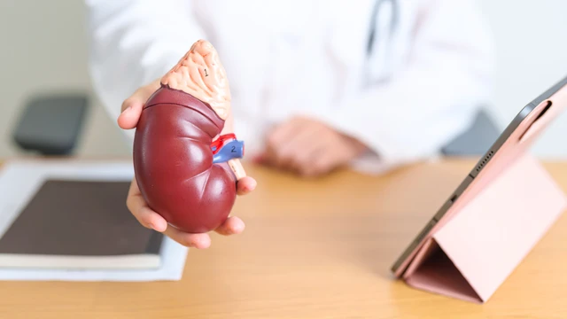  Cường Aldosteron tiên phát là gì? Nguyên nhân, triệu chứng và điều trị Cường Aldosteron tiên phát