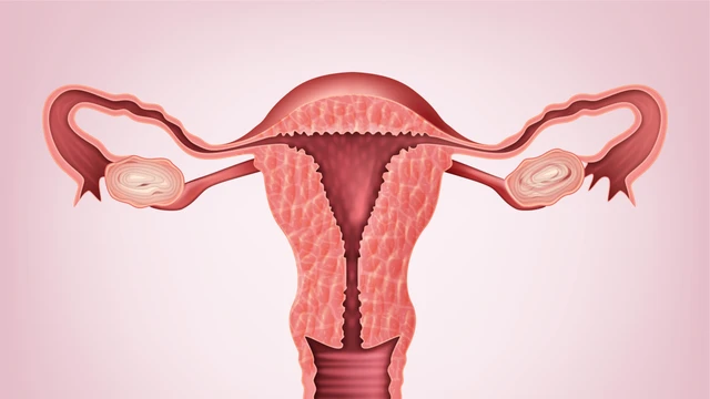 bai-viet/dac-diem-giai-phau-buong-trung-va-mot-so-benh-ly-lien-quan.html