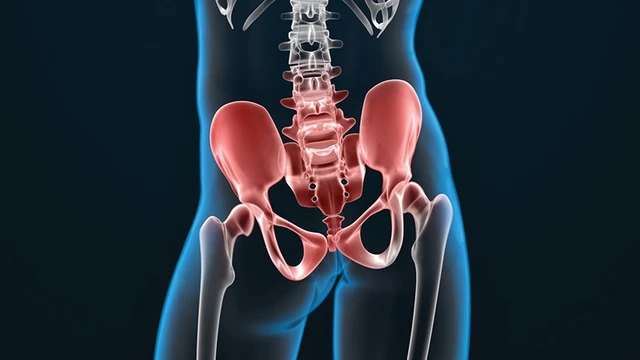 bai-viet/giai-phau-xuong-chau-dac-diem-chuc-nang-va-cac-dau-hieu-bat-thuong-o-xuong-chau.html