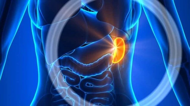 bai-viet/dap-la-lach-cap-do-2-co-nhung-dac-diem-gi-cac-buoc-chan-doan-benh.html