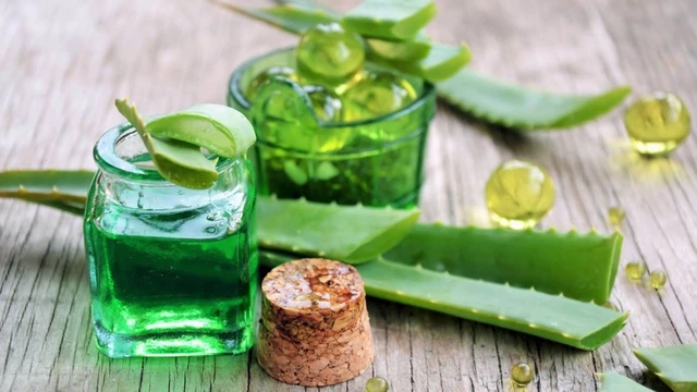 bai-viet/dap-nha-dam-tuoi-moi-ngay-co-tot-khong.html