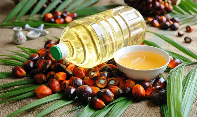 bai-viet/dau-co-la-gi-kham-pha-cong-dung-va-su-that-ve-dau-co.html