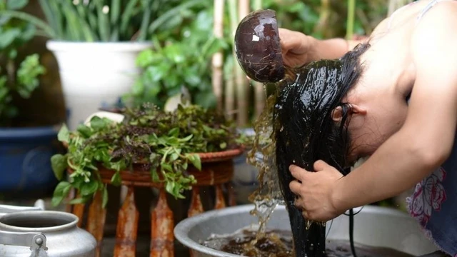 bai-viet/nhung-tac-dung-tuyet-voi-cua-dau-goi-tu-thien-nhien.html