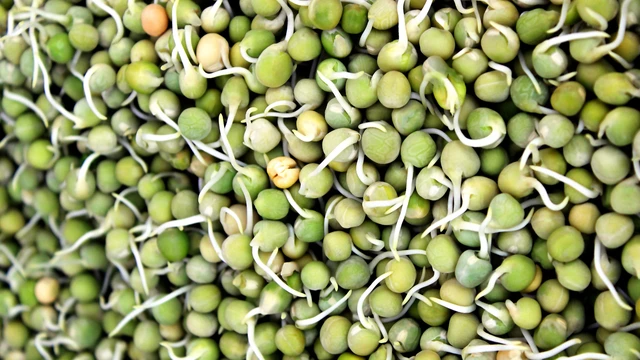bai-viet/dau-ha-lan-moc-mam-co-an-duoc-khong-luu-y-khi-su-dung.html