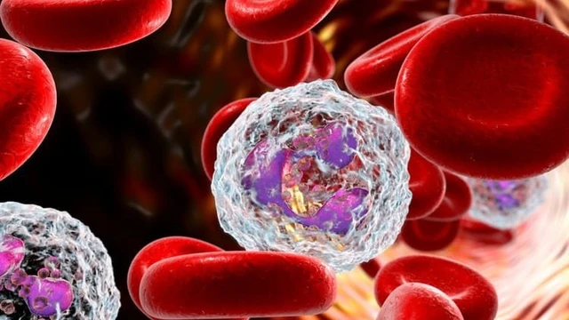 bai-viet/dau-hieu-canh-bao-bach-cau-giam-trong-co-the.html