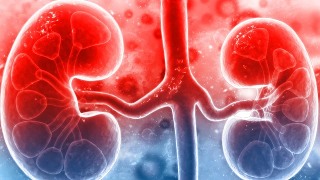 bai-viet/dau-hieu-dau-than-trai-nguyen-nhan-cach-xu-tri-va-phong-ngua-hieu-qua.html