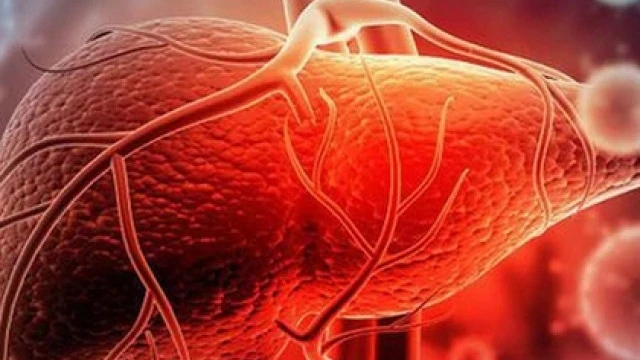 bai-viet/dau-hieu-gan-can-duoc-thai-doc-4-cach-thai-doc-gan-hieu-qua-tai-nha-55508.html